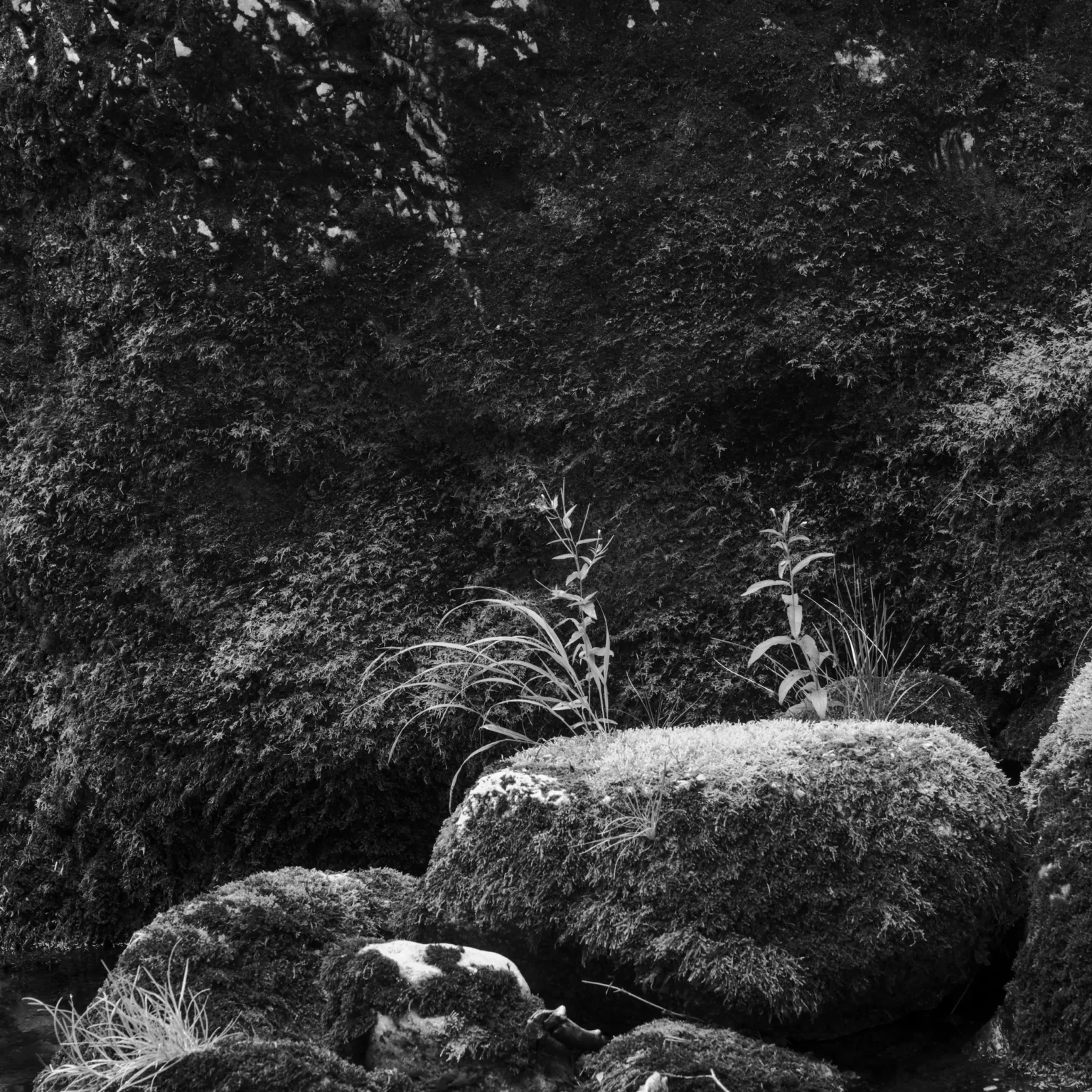 weissbachschlucht iii