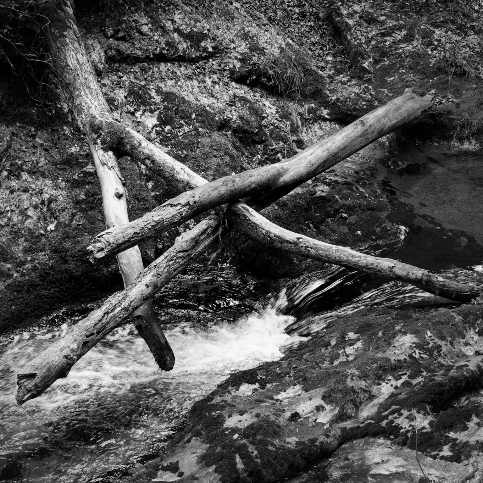 weissbachschlucht xiii – logs knot