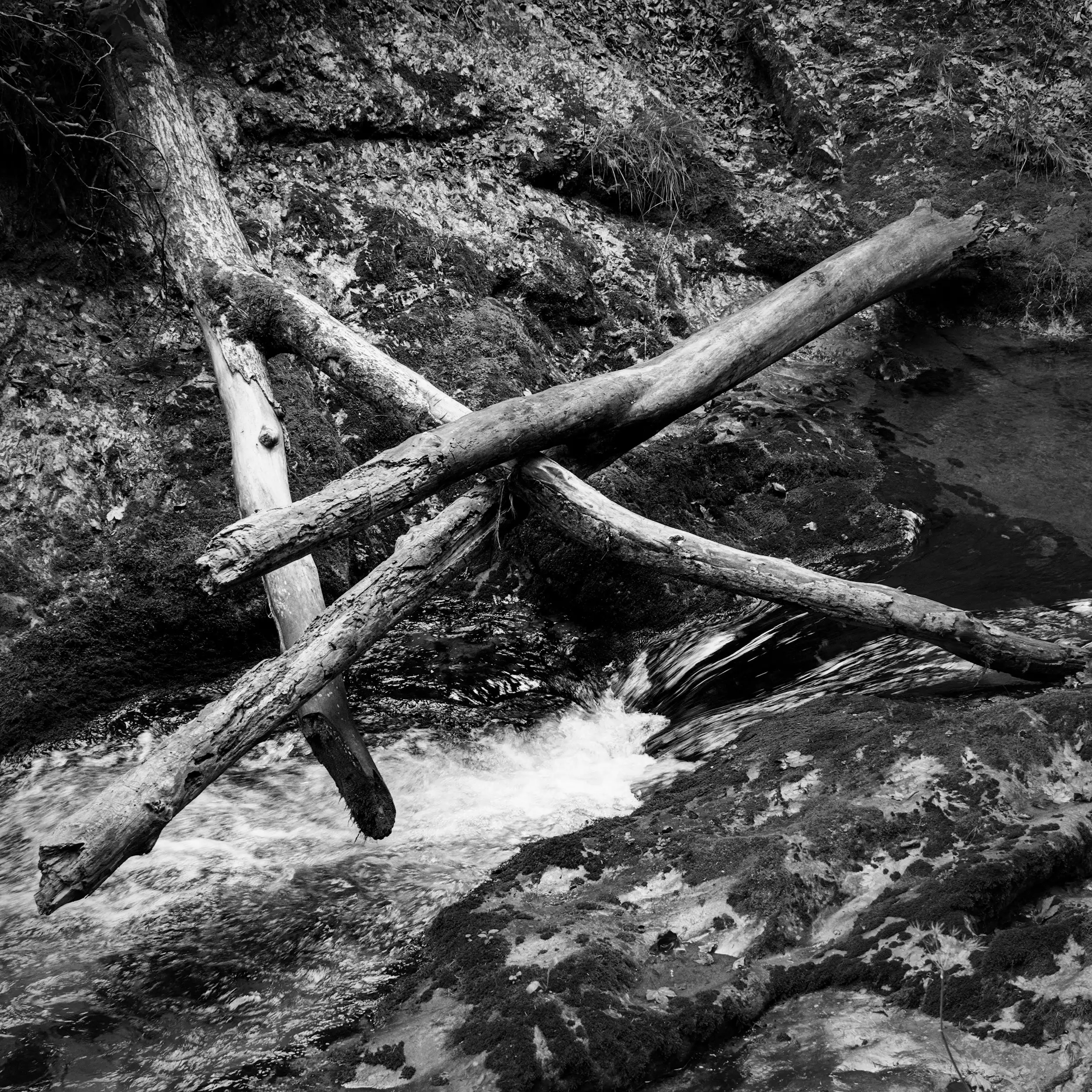 weissbachschlucht xiii – logs knot