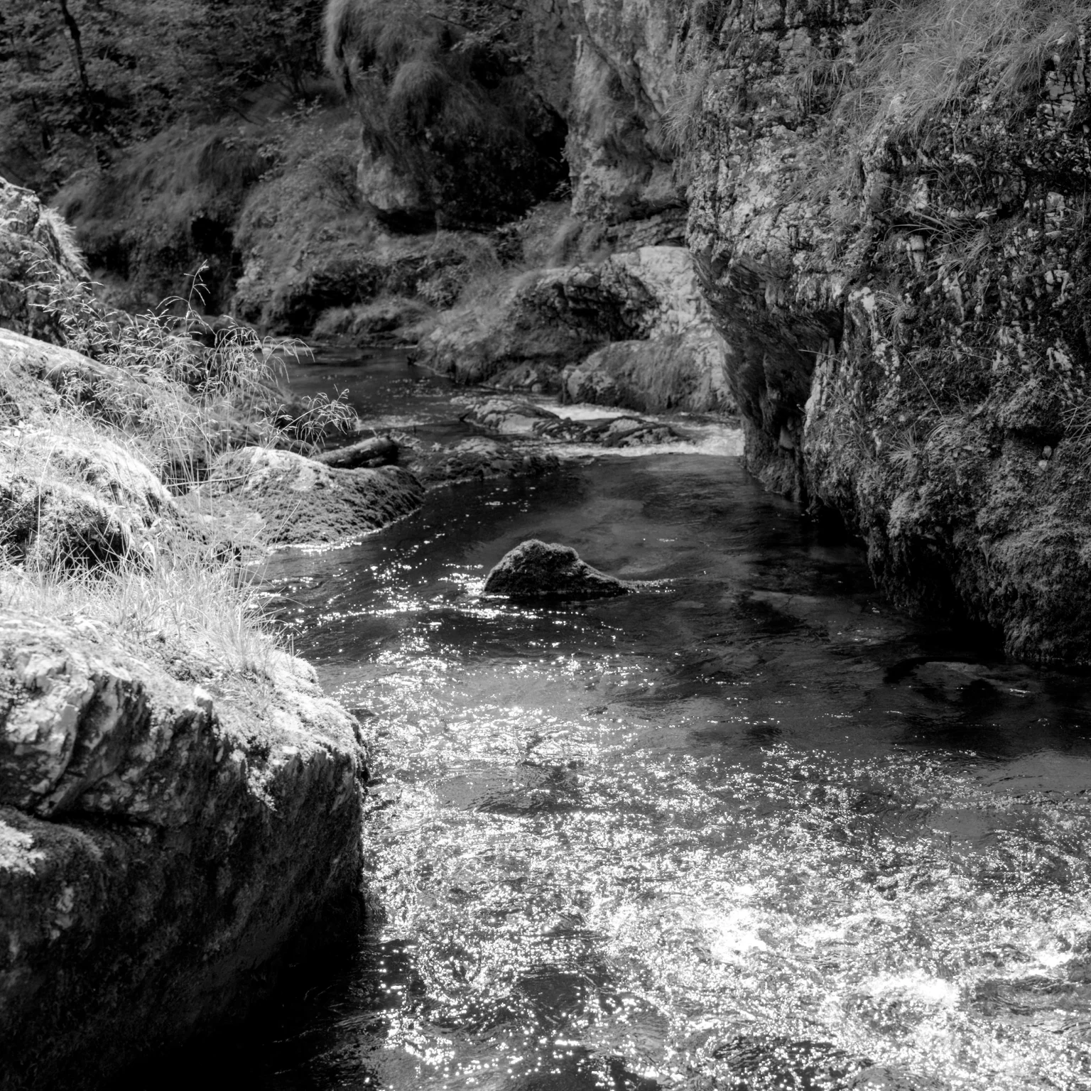 weissbachschlucht xiv – backlight is good light