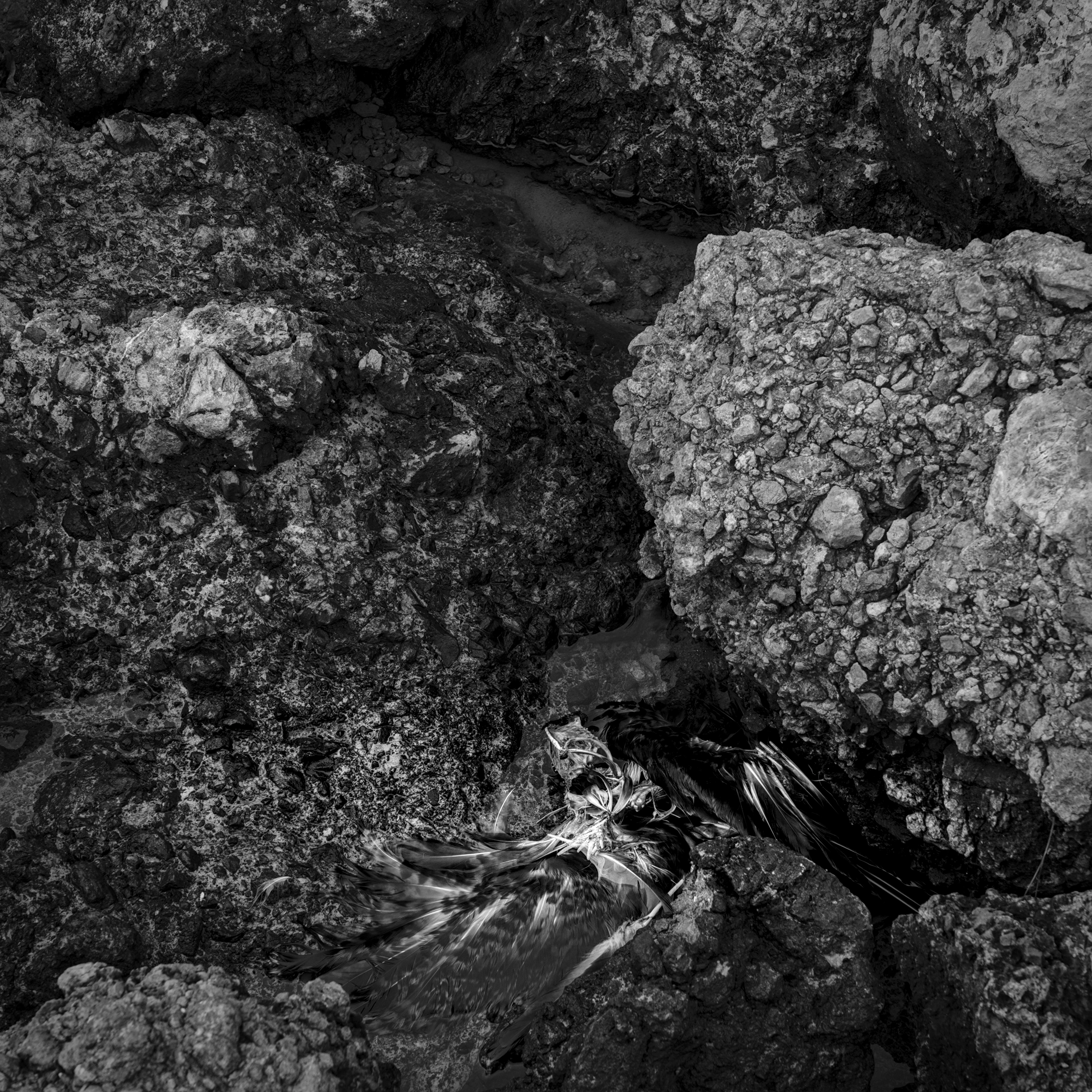 between rocks