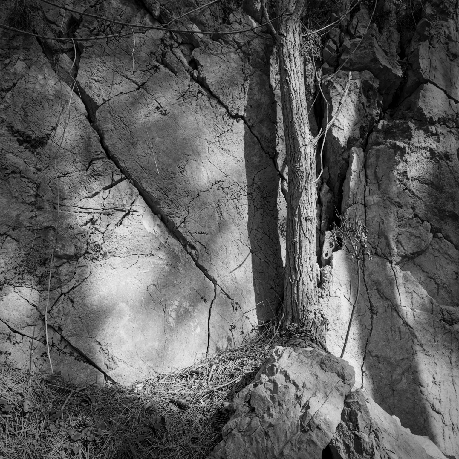 clinging to the wall