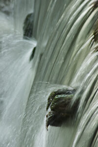 vivid waters