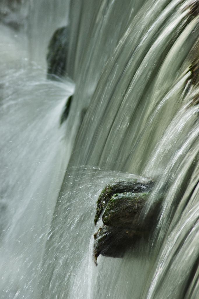 vivid waters