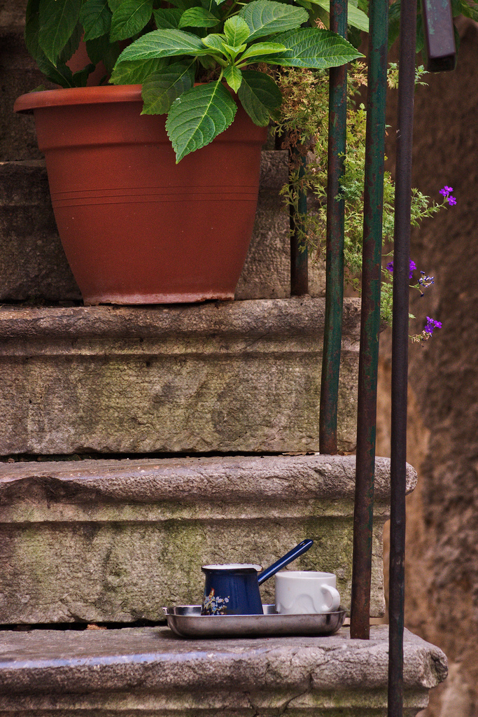 coffee still life, krk