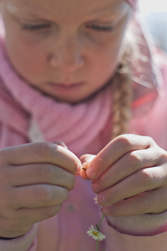 making a flower necklace