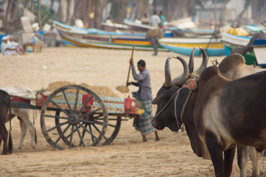 kalmunai transport unit