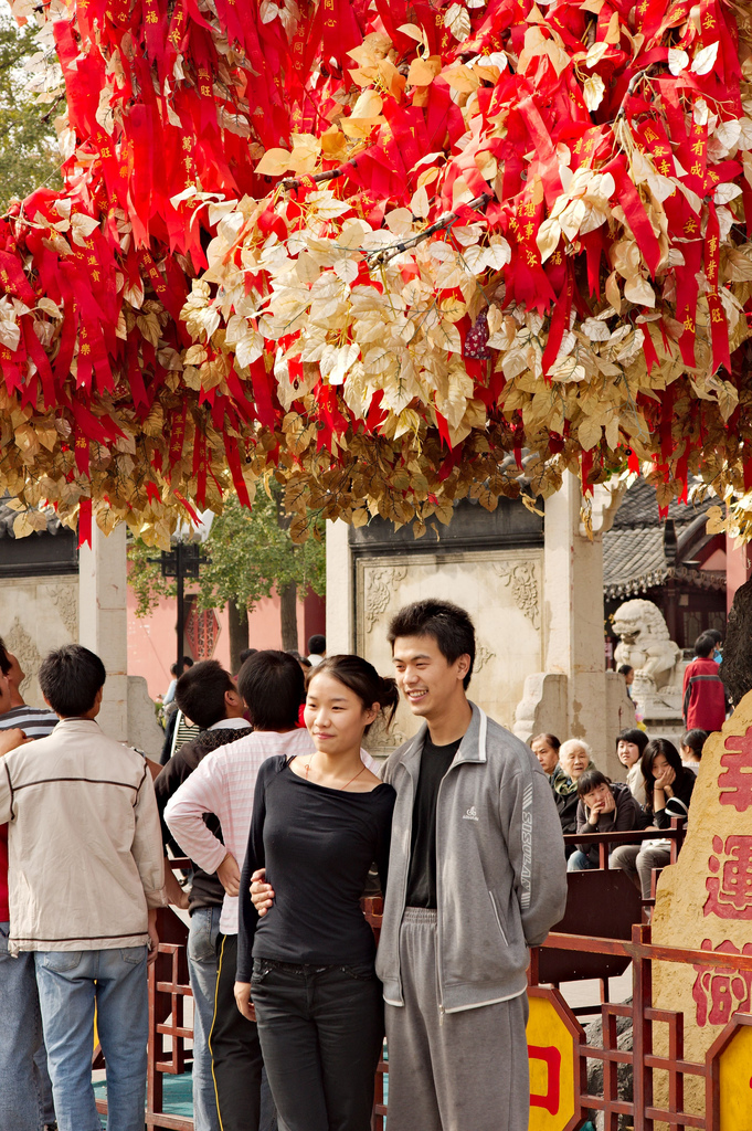 lucky charm tree, nanjing