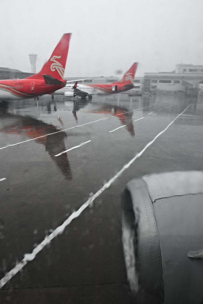wet reflections