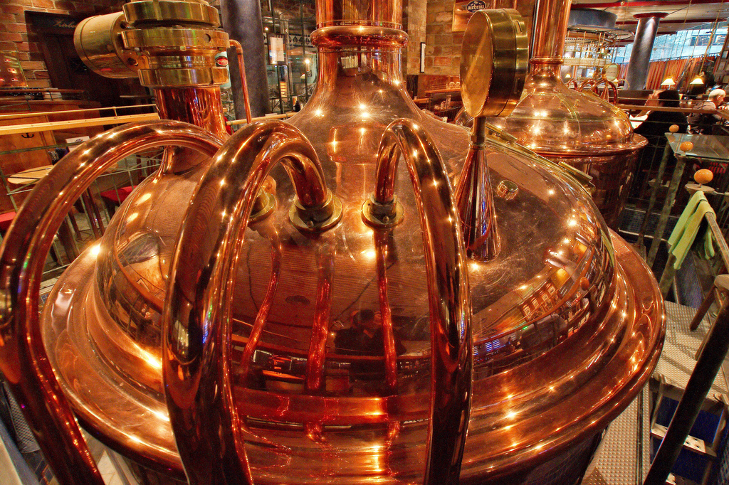 copper delight