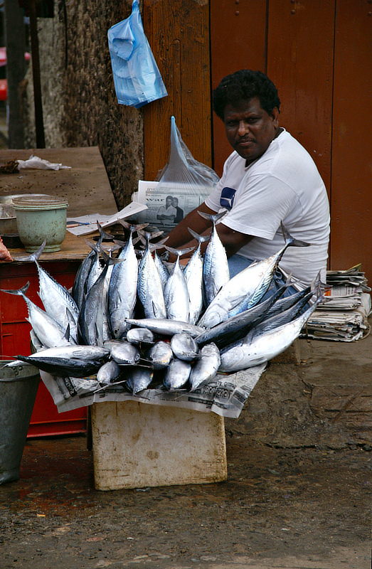 fish vendor in Ambalangoda