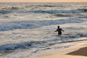 throwing the net