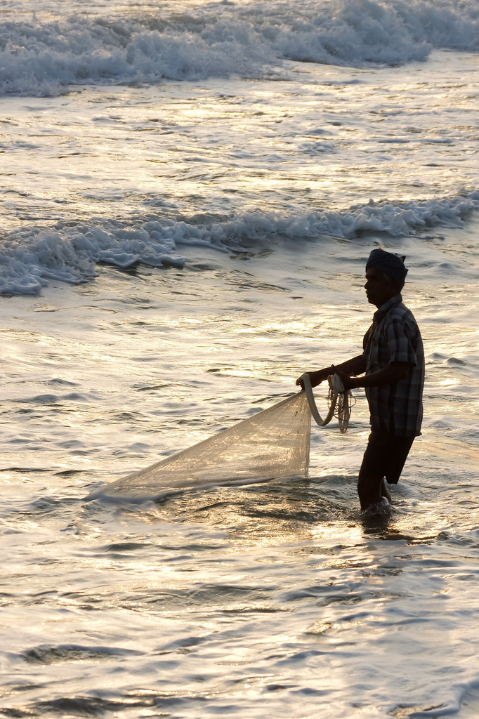 catching fish in the waves
