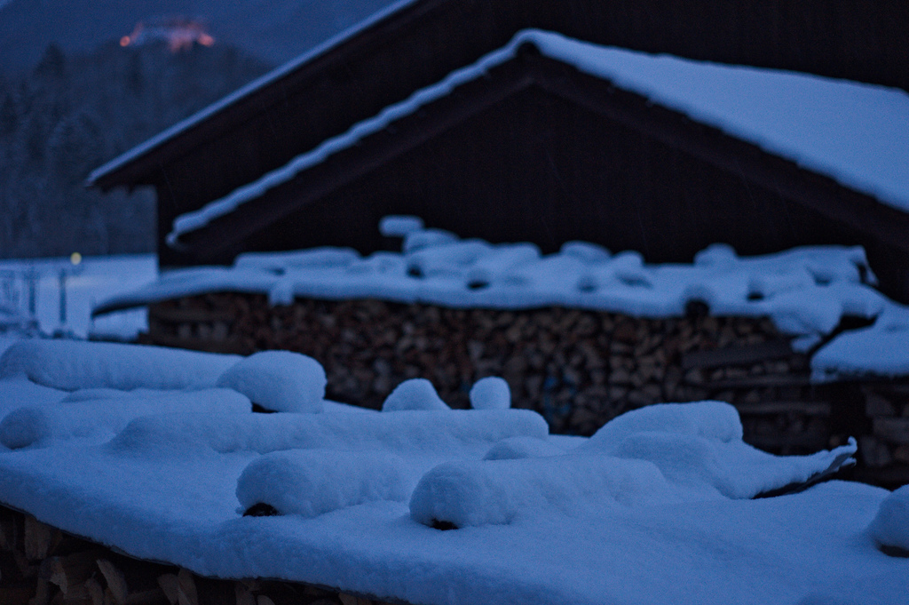 cold winter