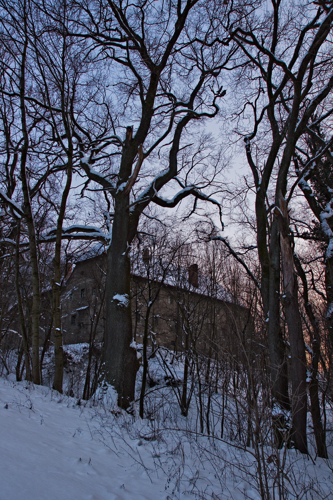 the old castle
