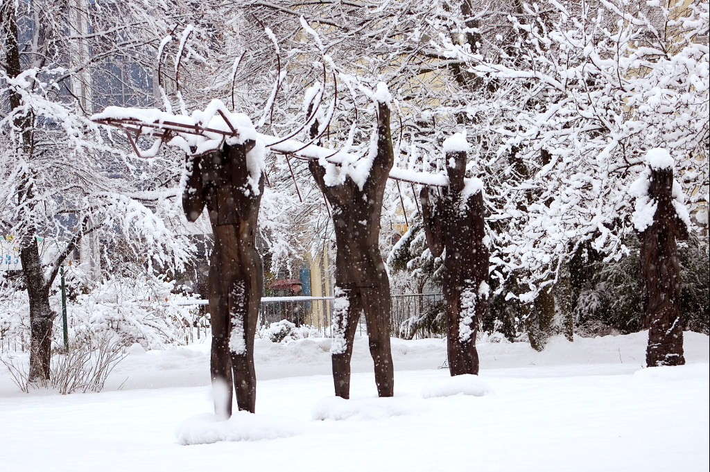 drama in the snow