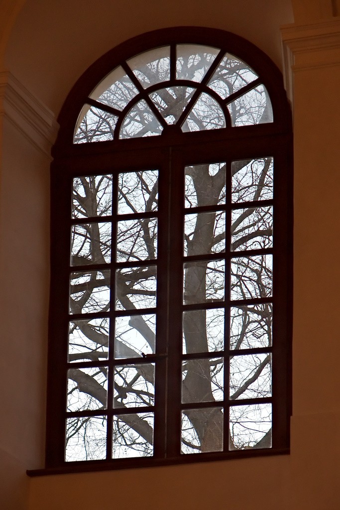 through a glass
