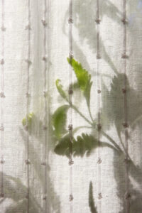 spring behind the curtains