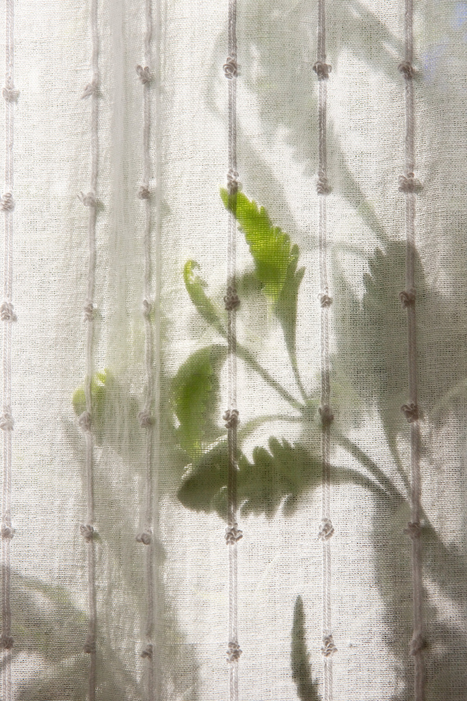 spring behind the curtains