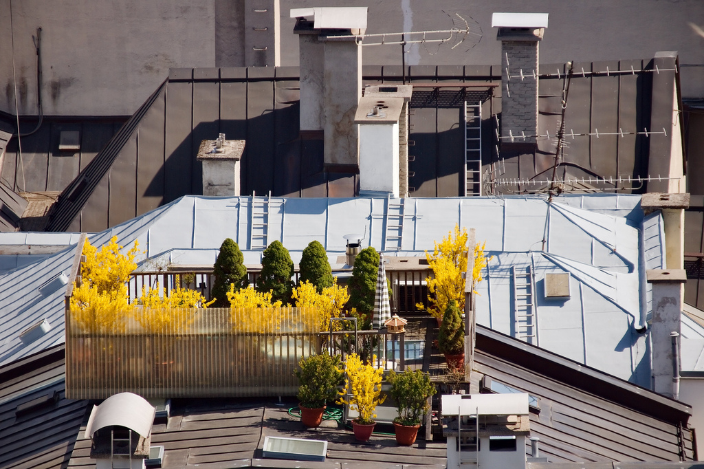 roof garden