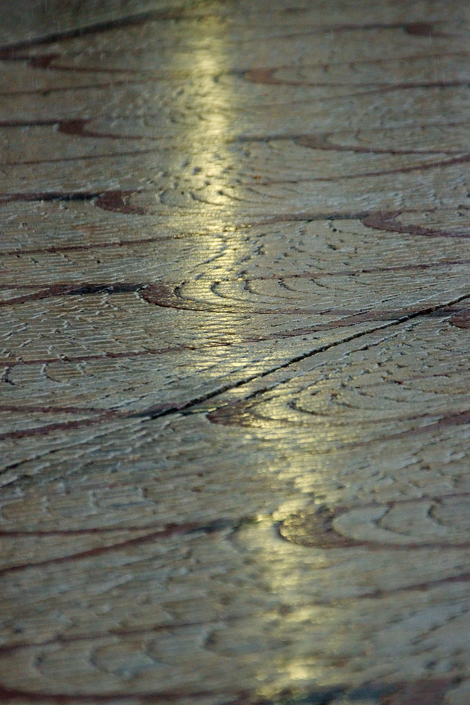 rainy reflection