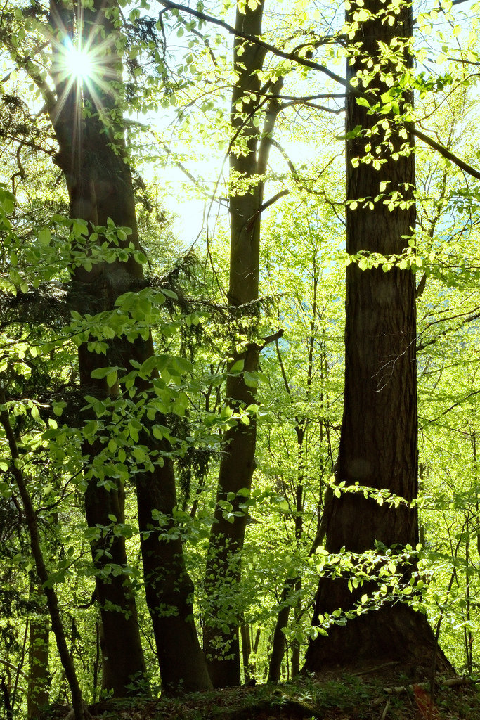 spring springs to life