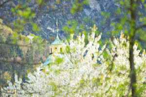monet hiding in my lens