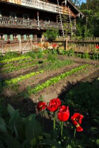 form follows function