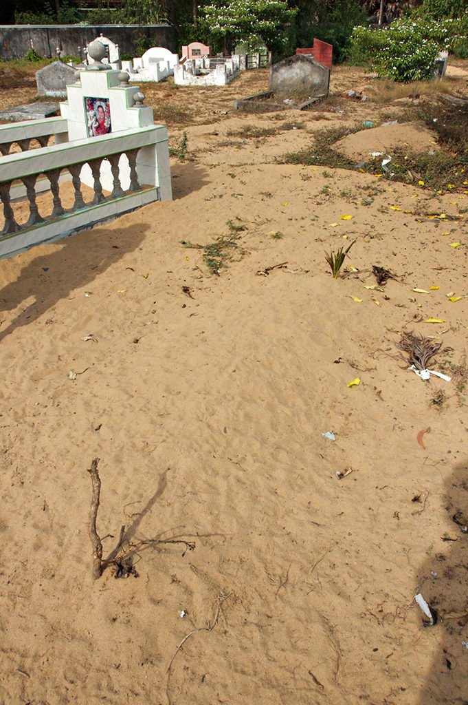 the grave of s. thinusika, 8 years