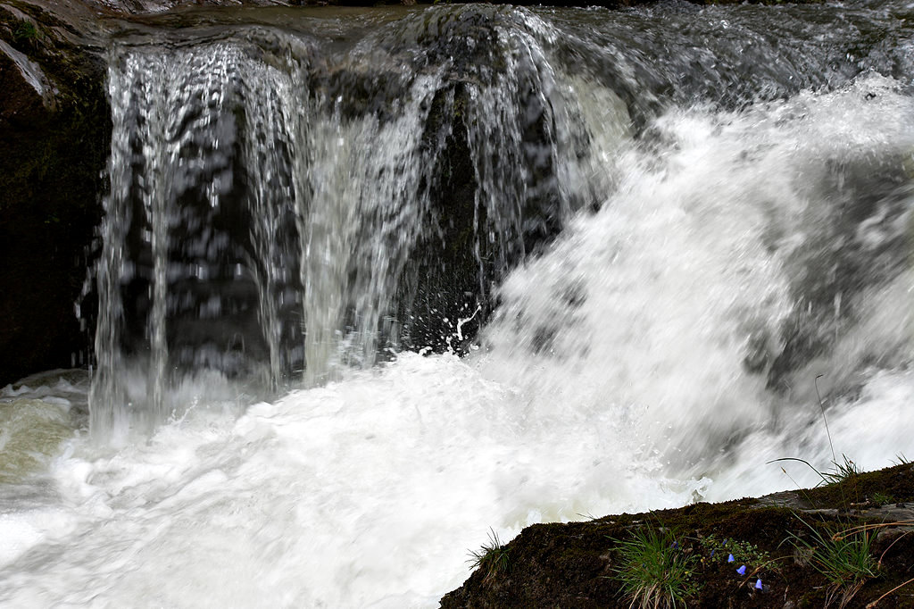 cascades and bluebells