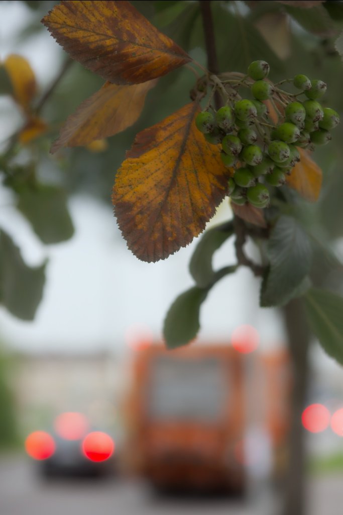 city bokeh, munich