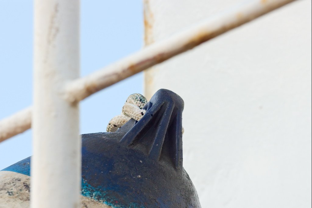 Resting Fender