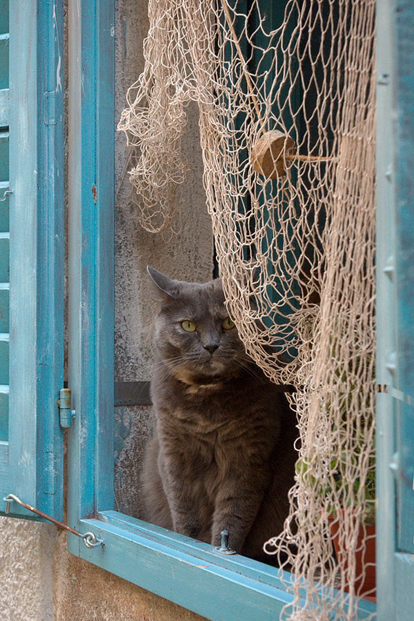 Window Tomcat