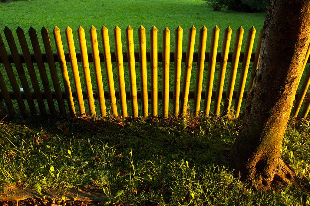 Long shadows