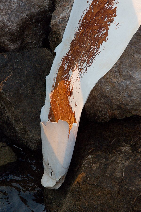 Decaying Surfboard