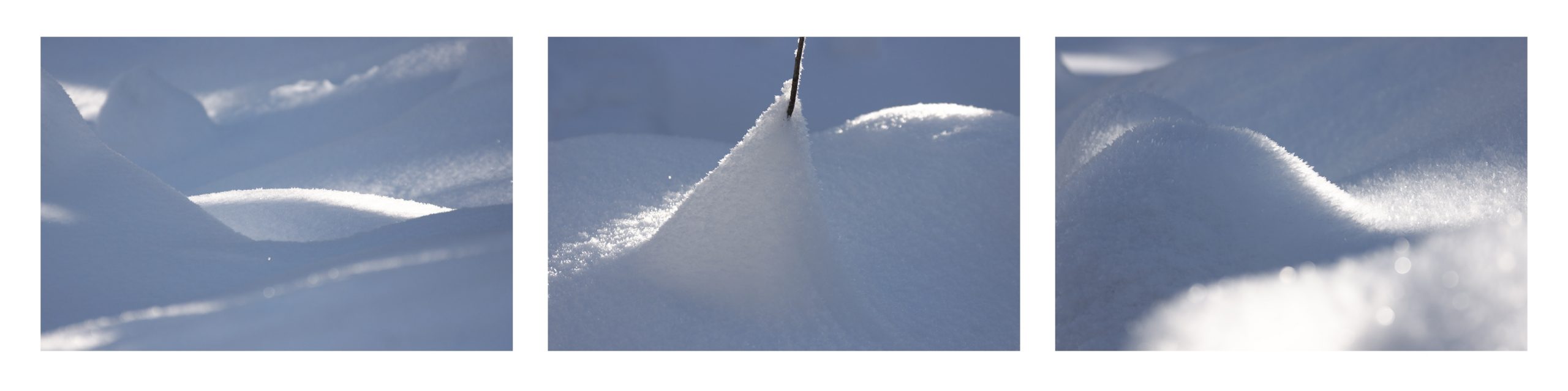 Blue Shades of White