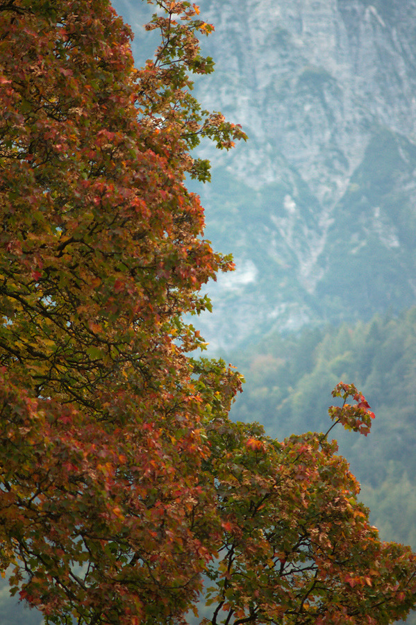 Autumn in town