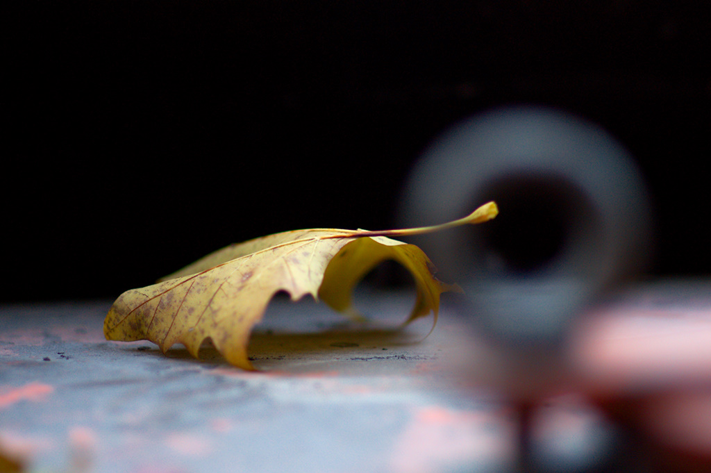 Click to enlarge: Twelve(2)