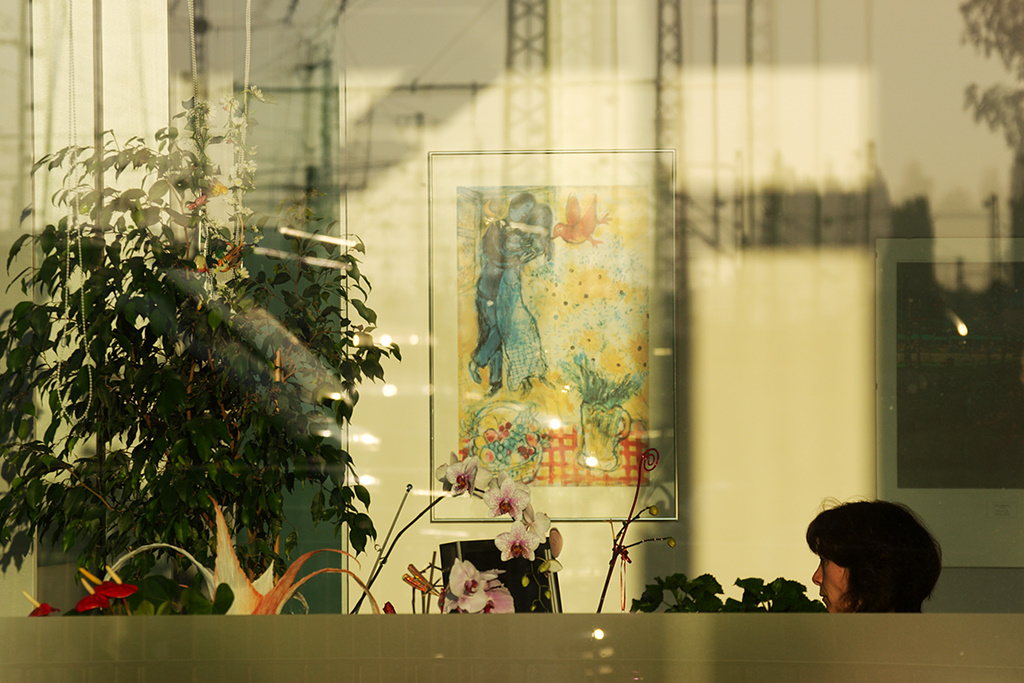 Chagall on the Wall
