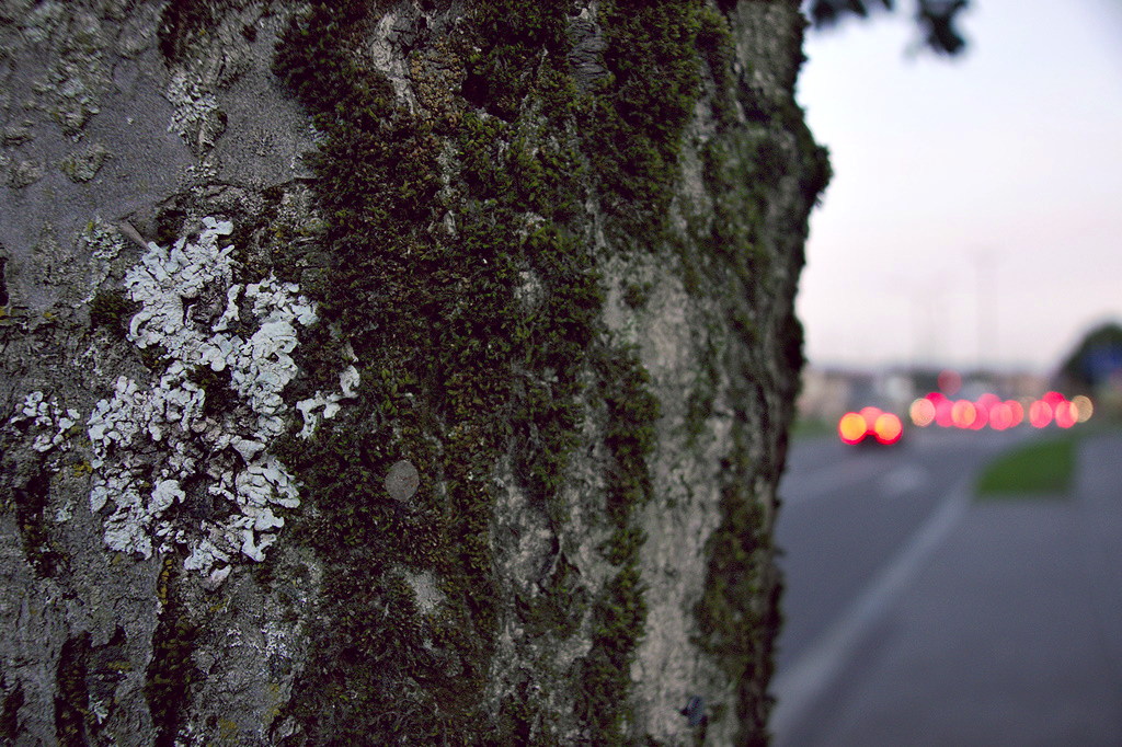 City Bokeh II