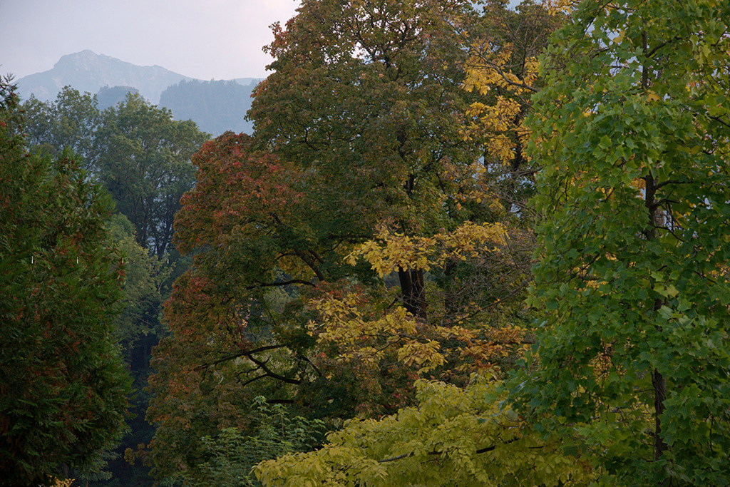 Autumn ‚round the corner