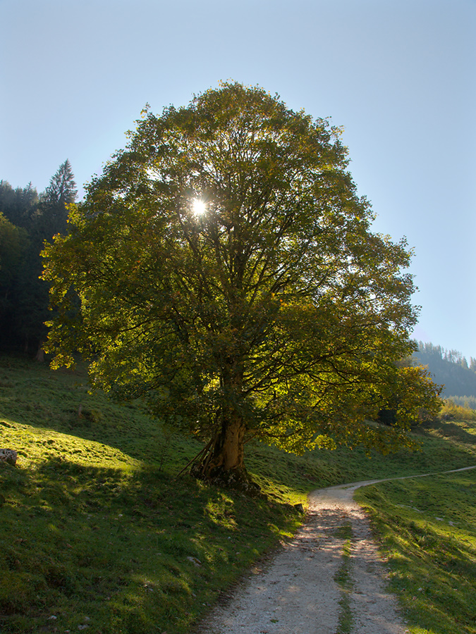 Friedrich Hebbel: Autumn Scene
