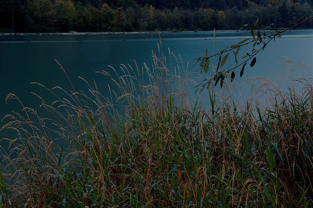 Click to enlarge: Look up!(2)