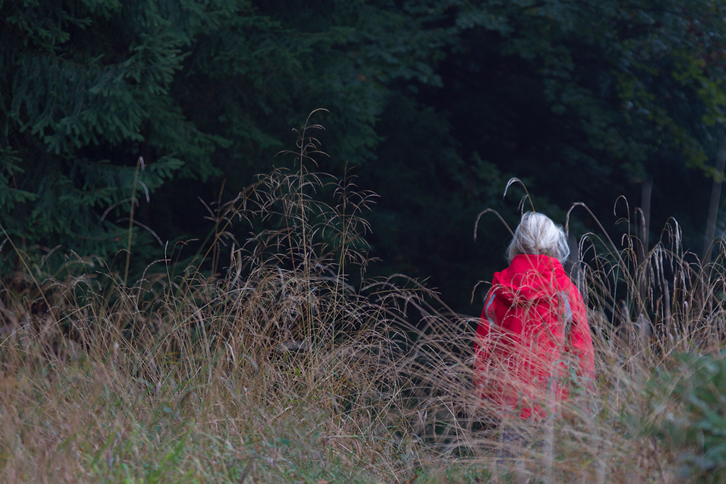 Little red riding hood