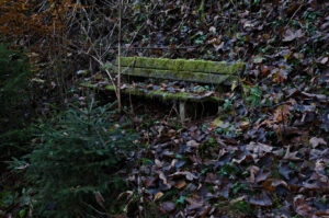 Not waiting for guests anymore