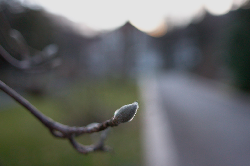 Patterns, blur
