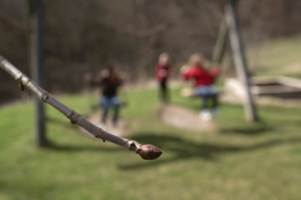 . Tagged with Bad Reichenhall, Nonn